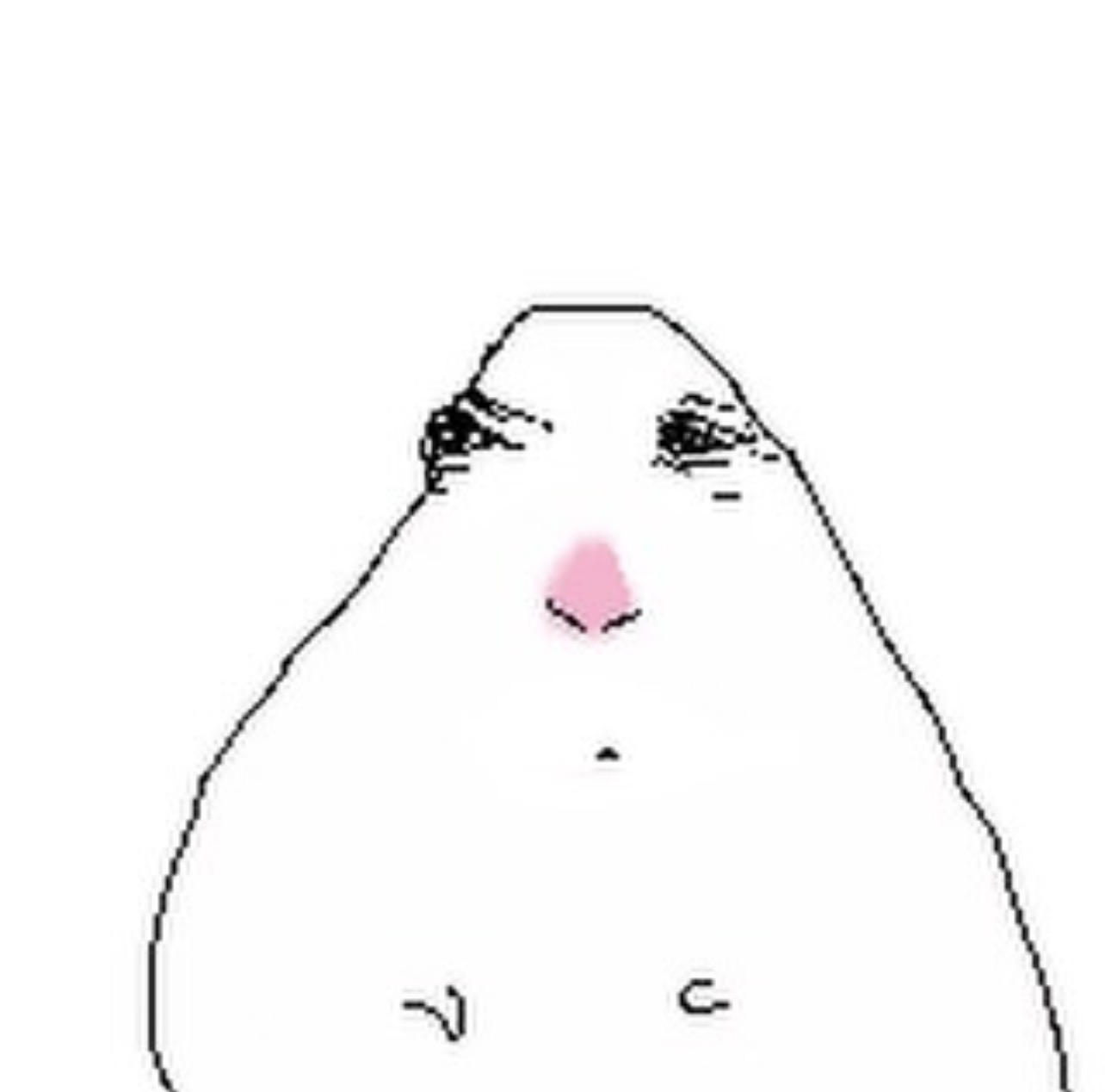 Target hamster